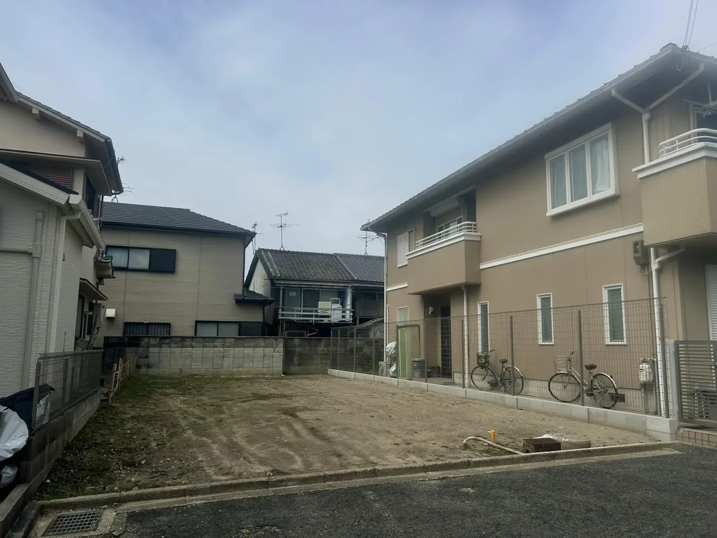 2026年3月上旬現地撮影