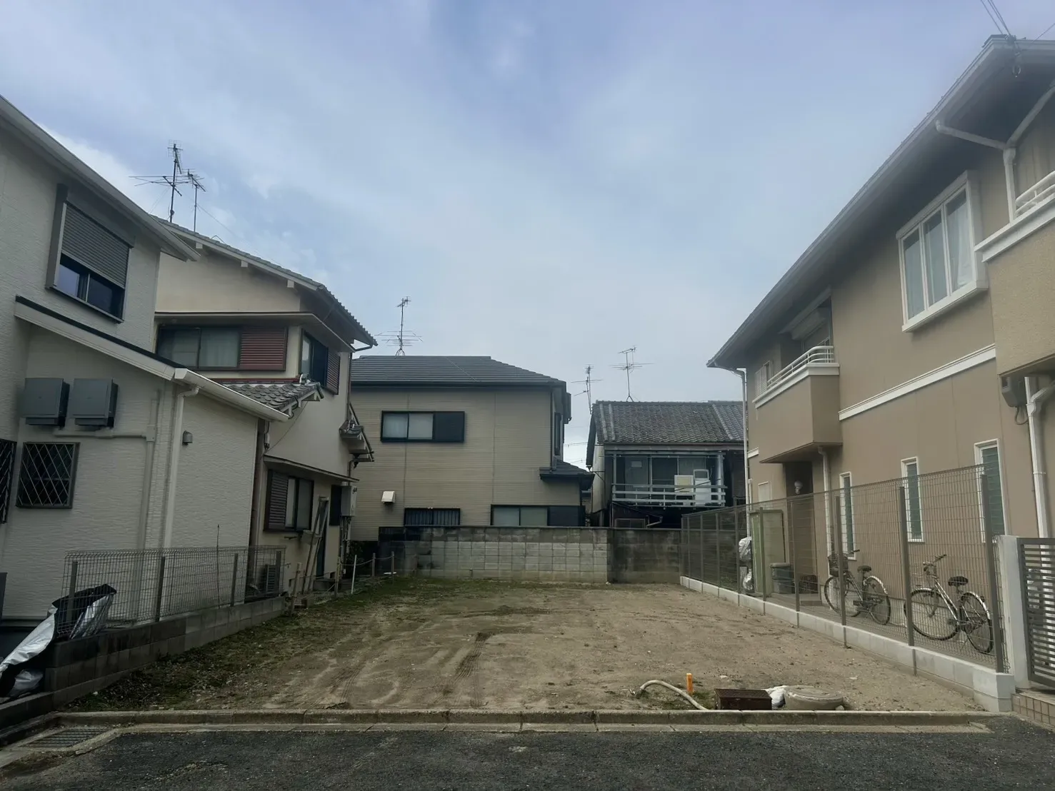 2026年3月上旬現地撮影