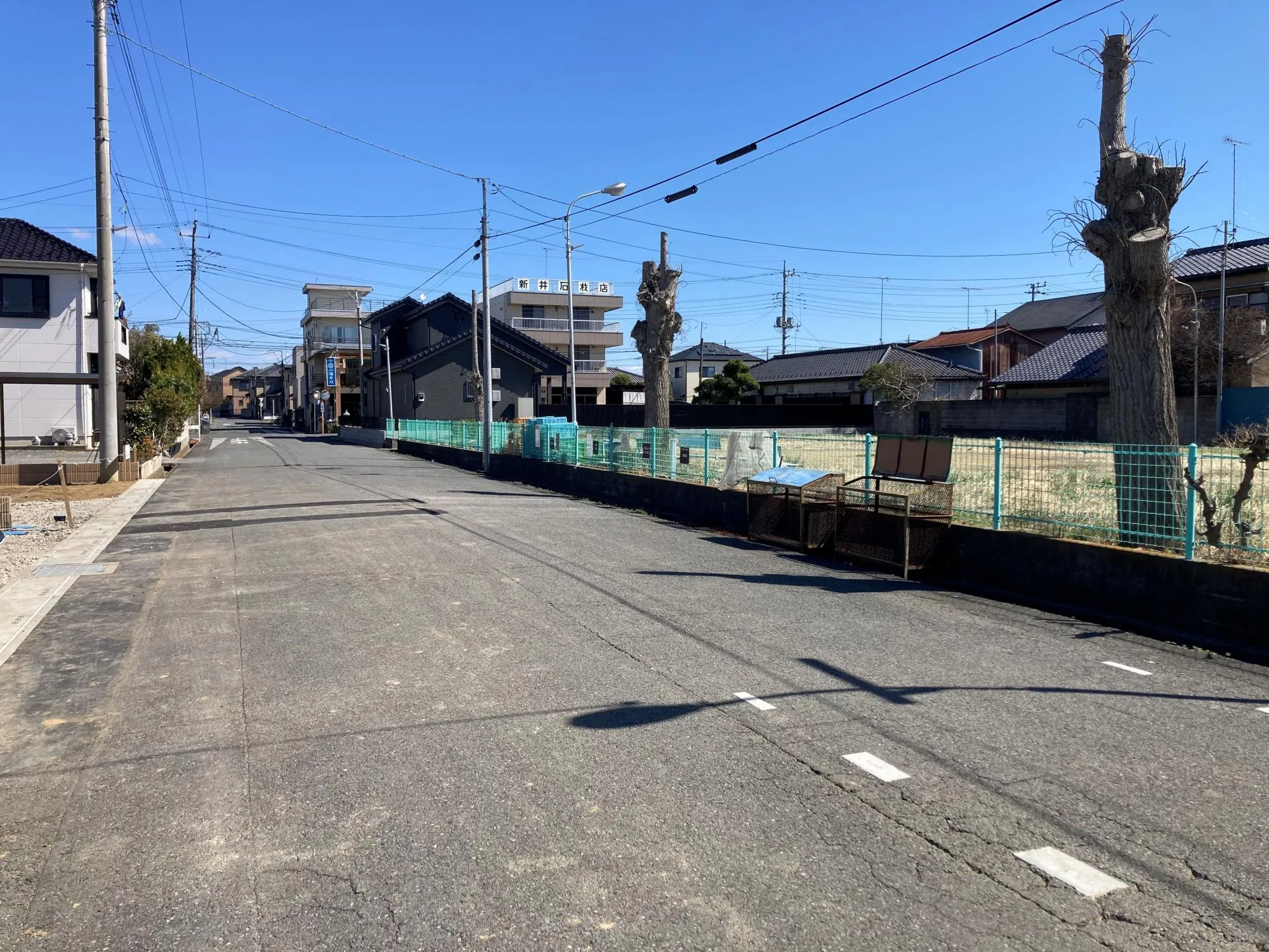 現地写真　3月撮影