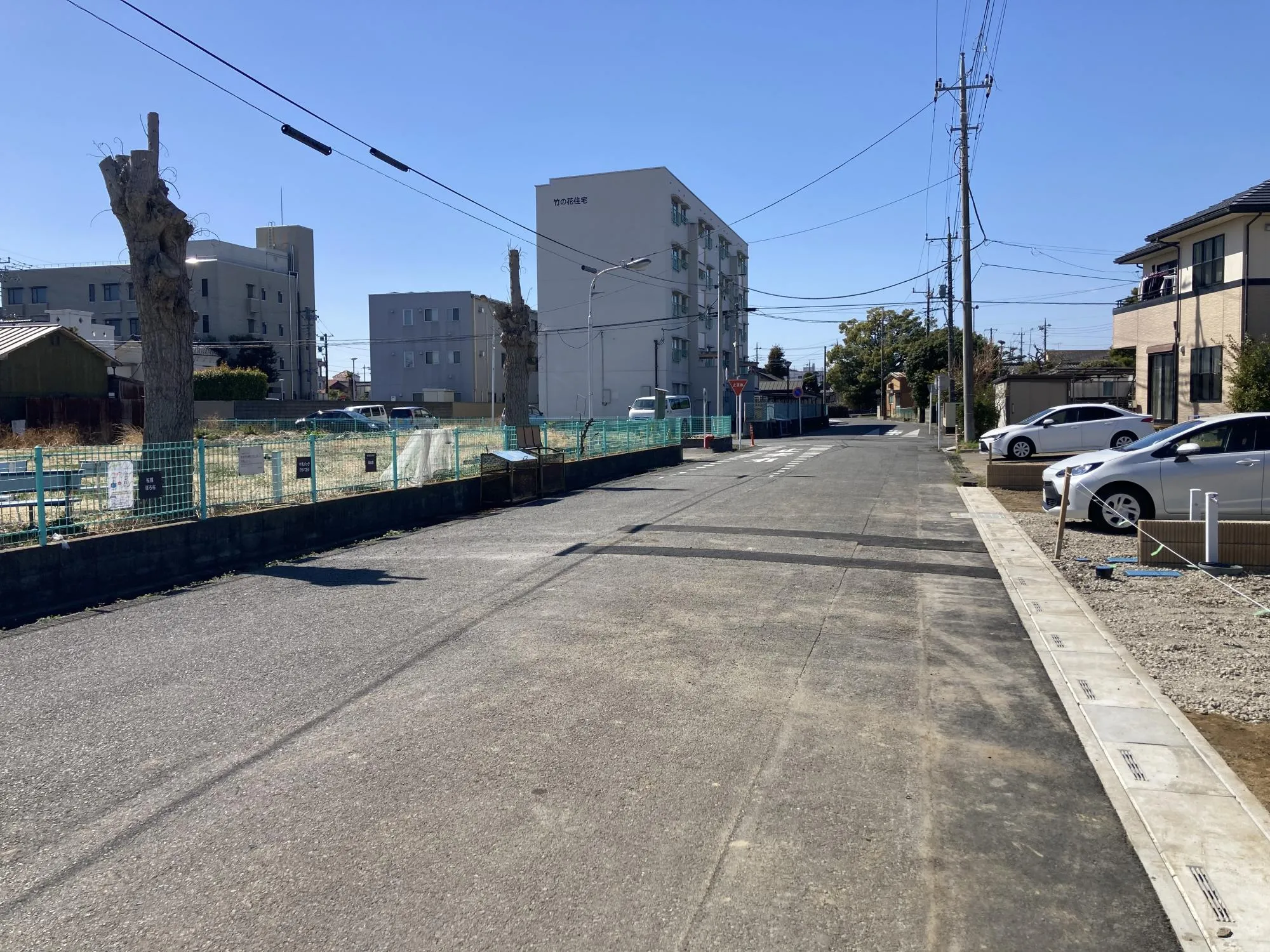 現地写真　3月撮影