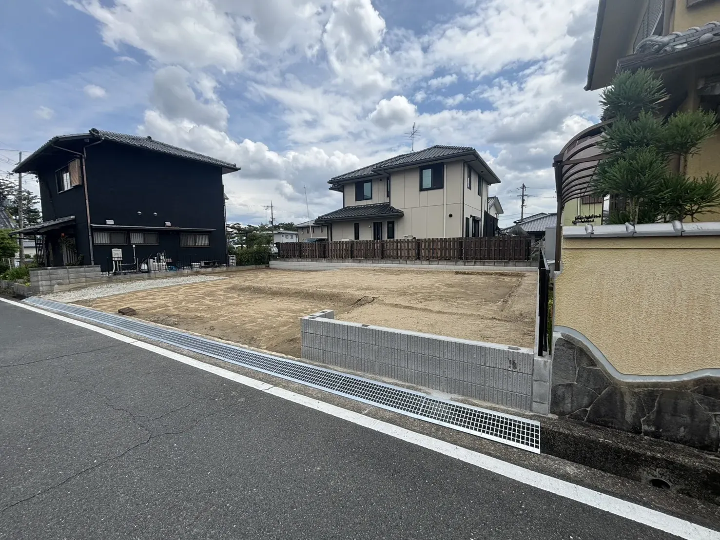 2026年6月撮影