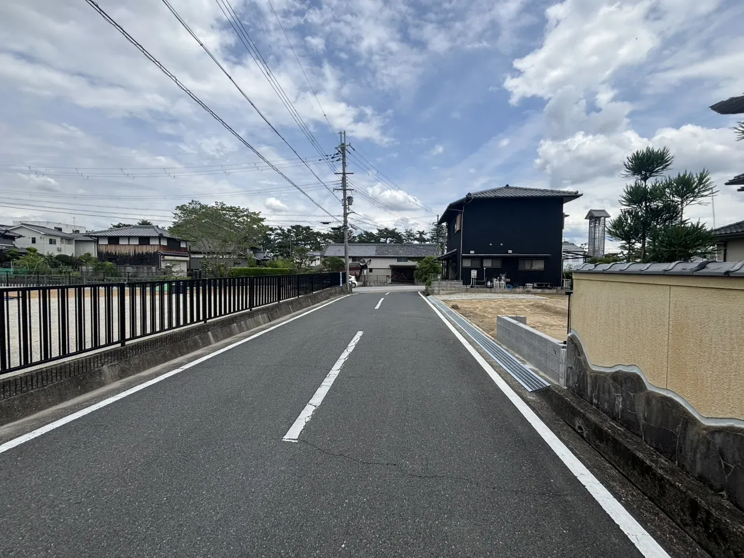 2026年6月撮影