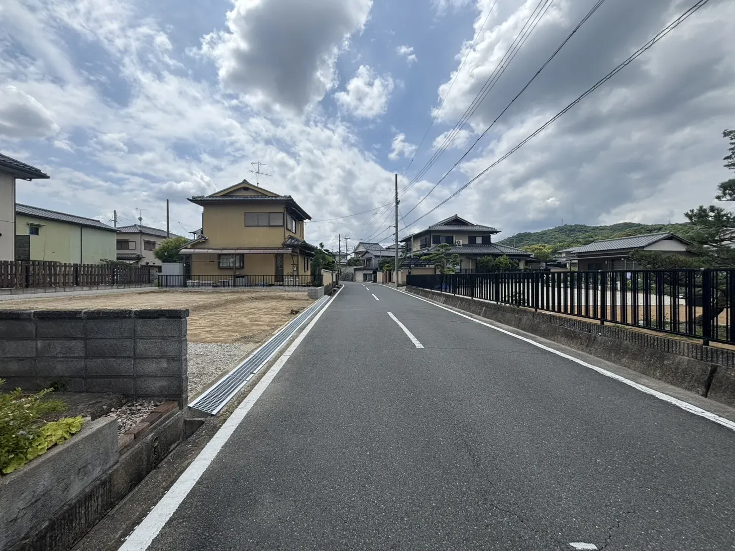 2026年6月撮影
