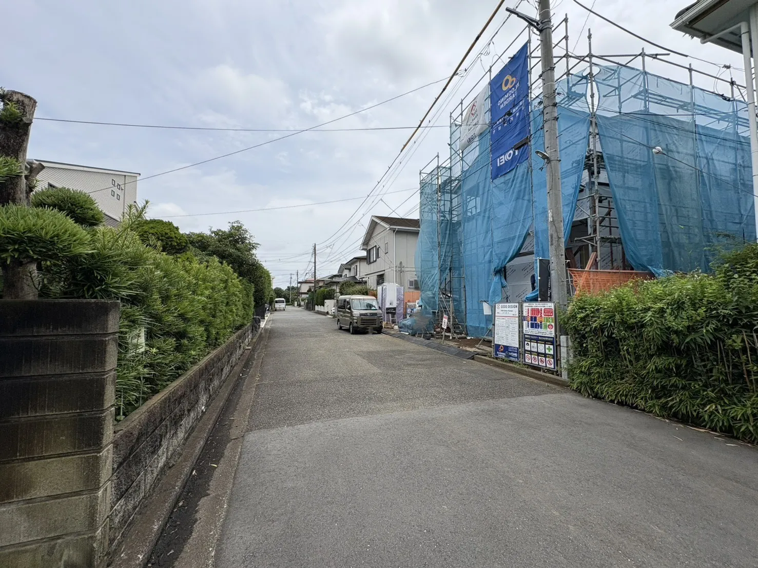 販売現地