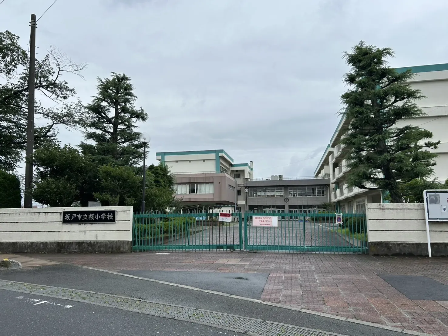 桜小学校