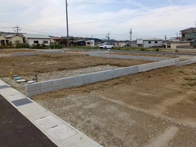 2026年4月上旬撮影