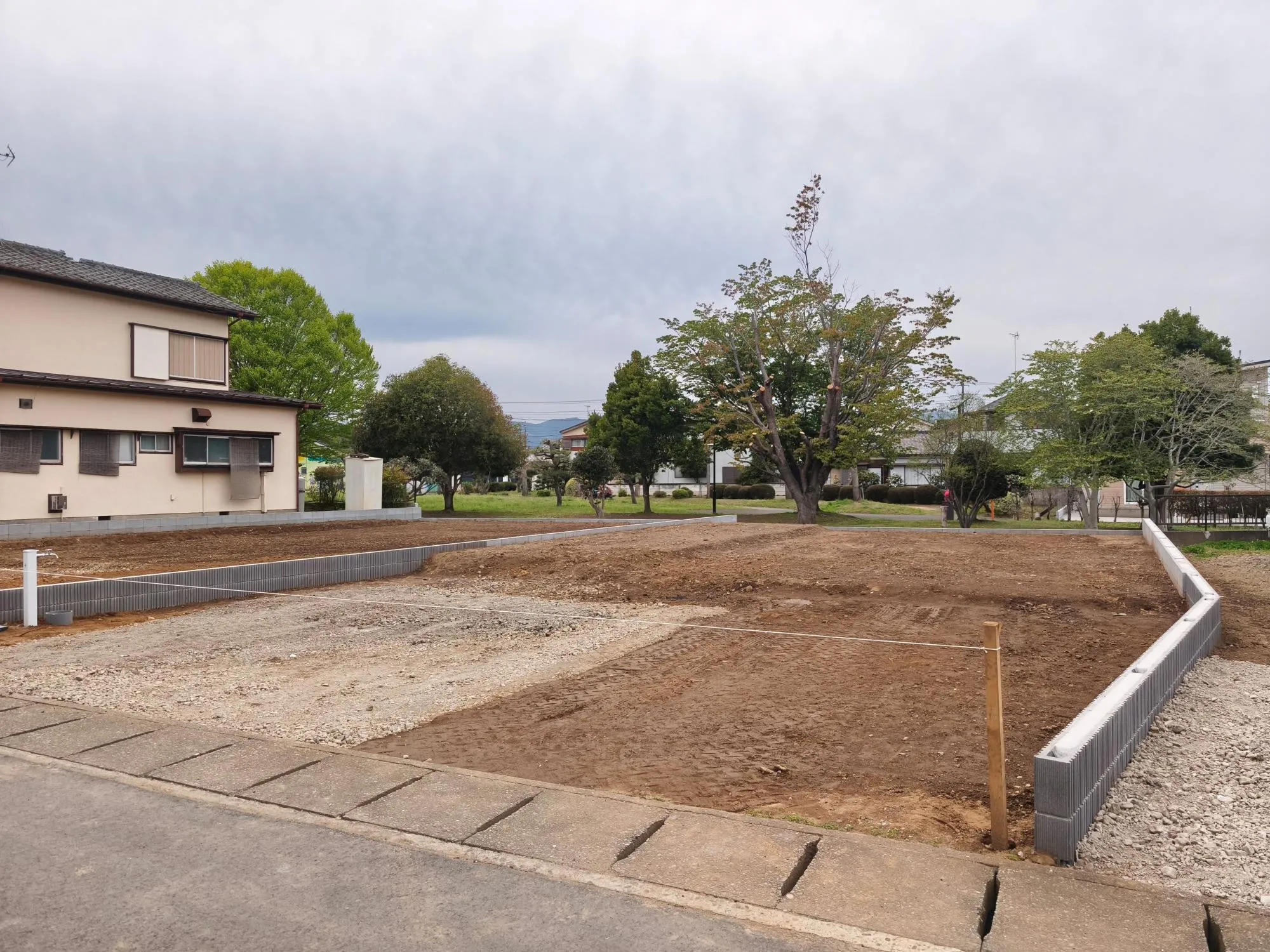 現地写真　4月撮影