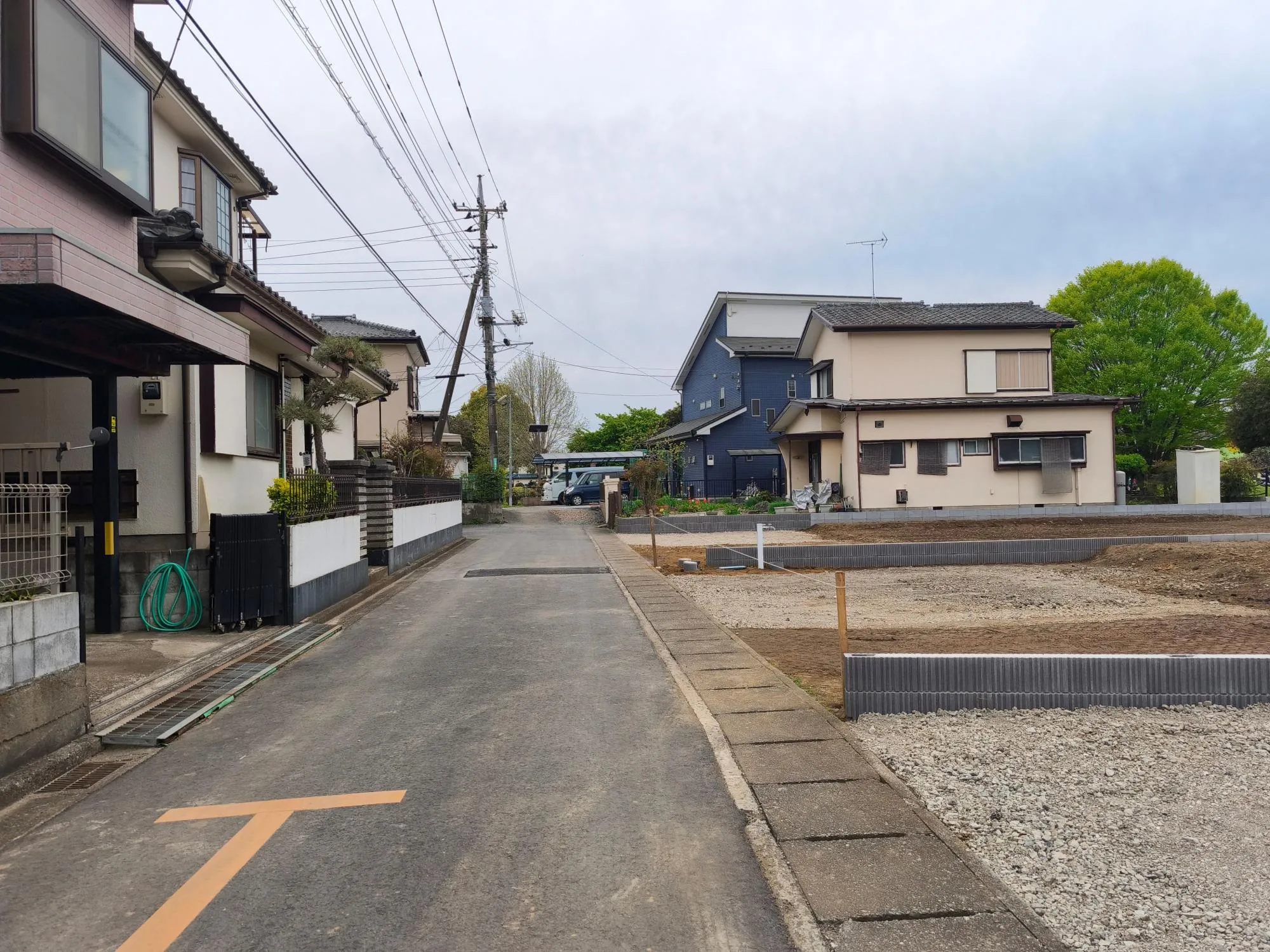 現地写真　4月撮影