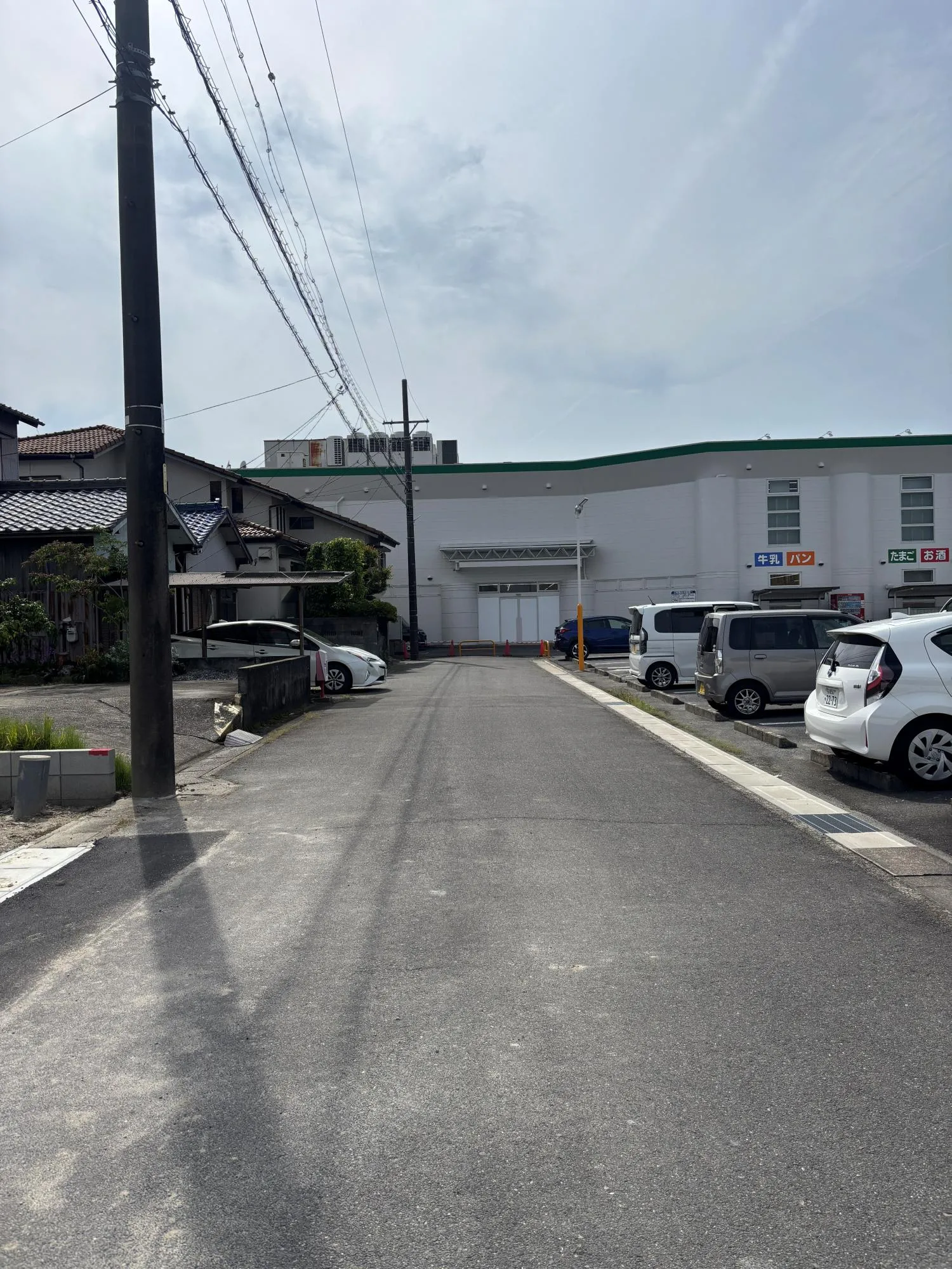 現地写真(2026.5.3撮影)