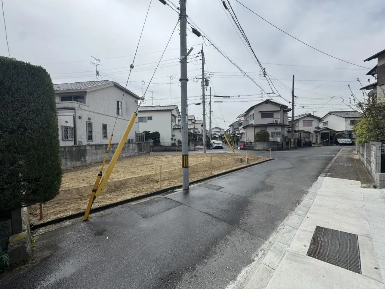 【販売現地】2026.4.12撮影