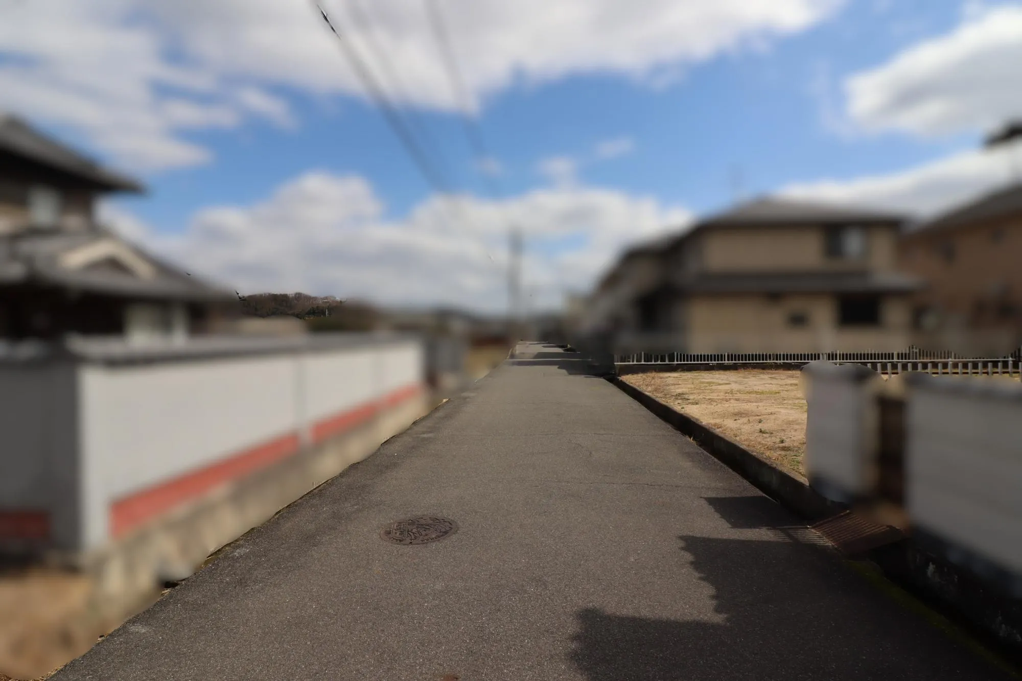 【現地写真】