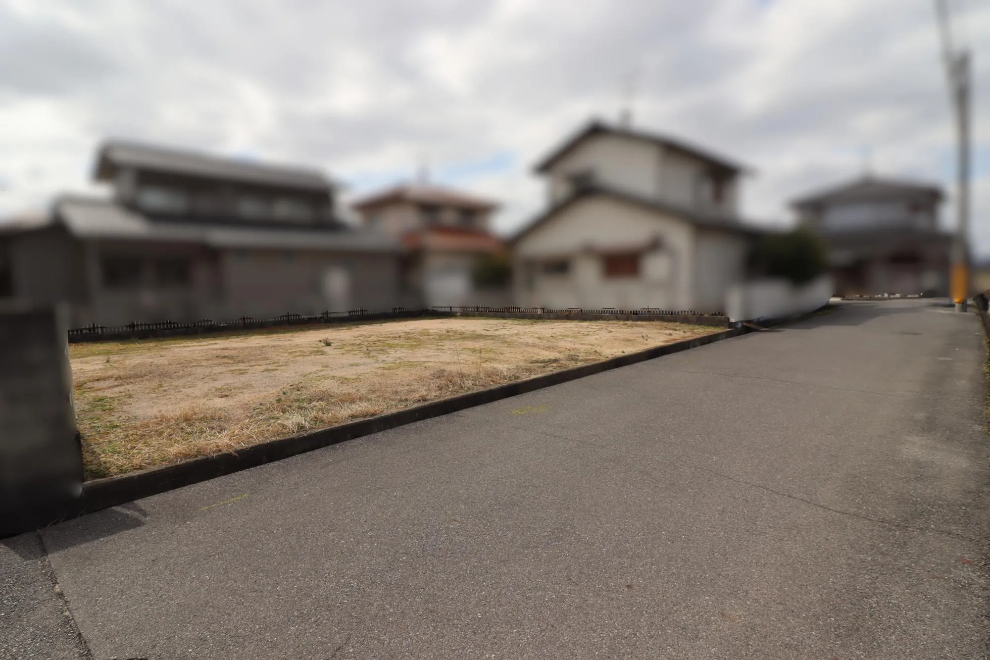 【現地写真】