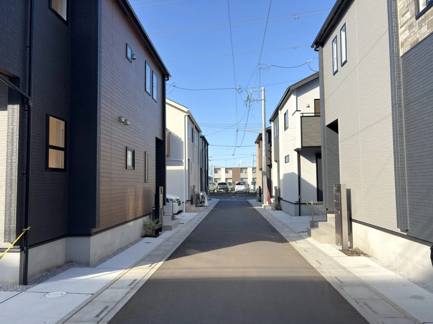 ◇開発道路