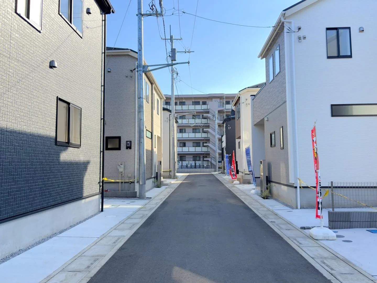 ◇開発道路
