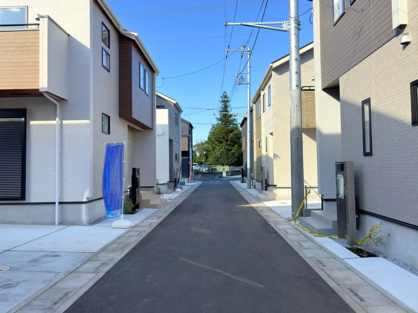 ◇開発道路