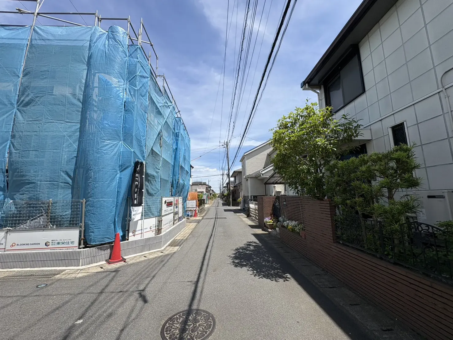 2026.5.9撮影