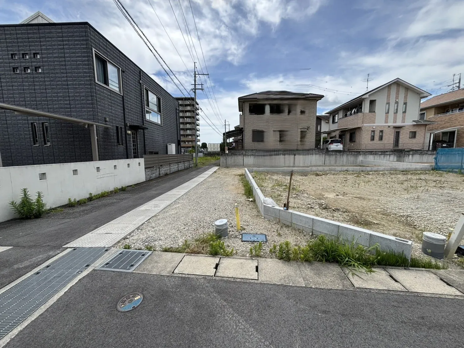 2026年6月中旬現地撮影