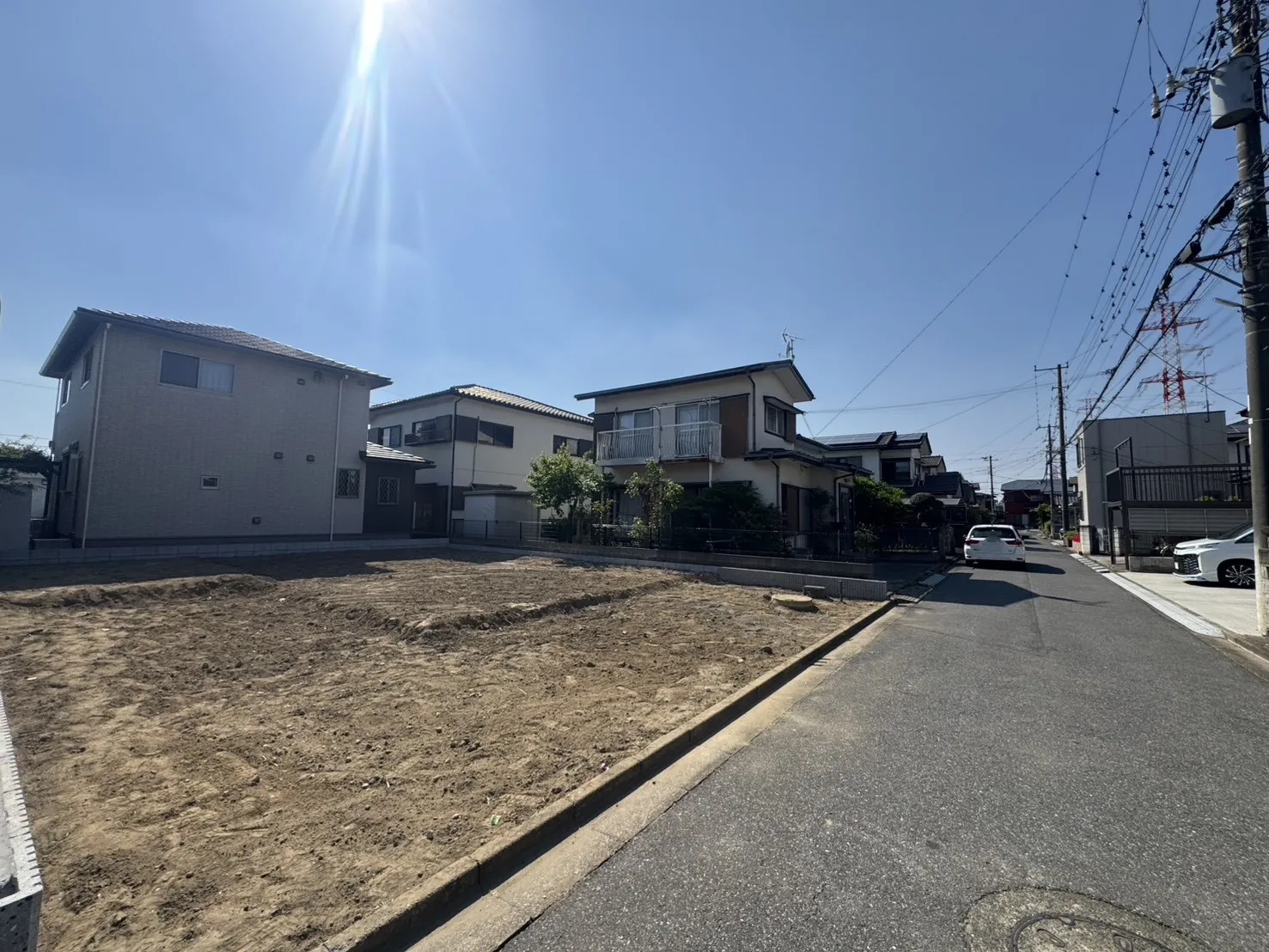 5月中旬撮影