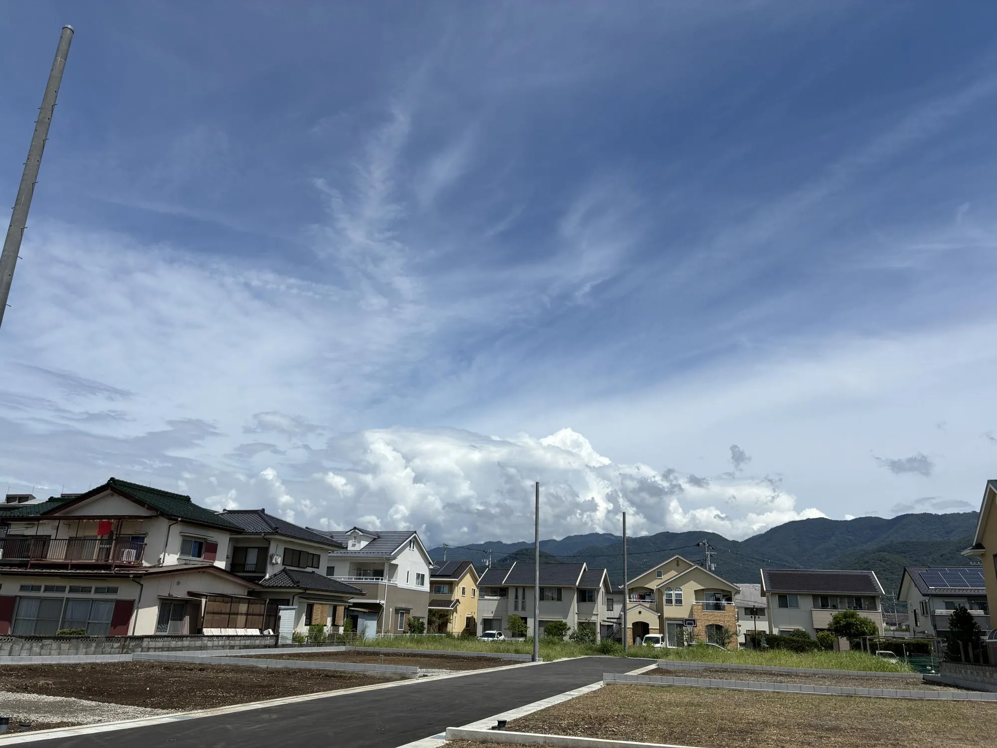 全棟