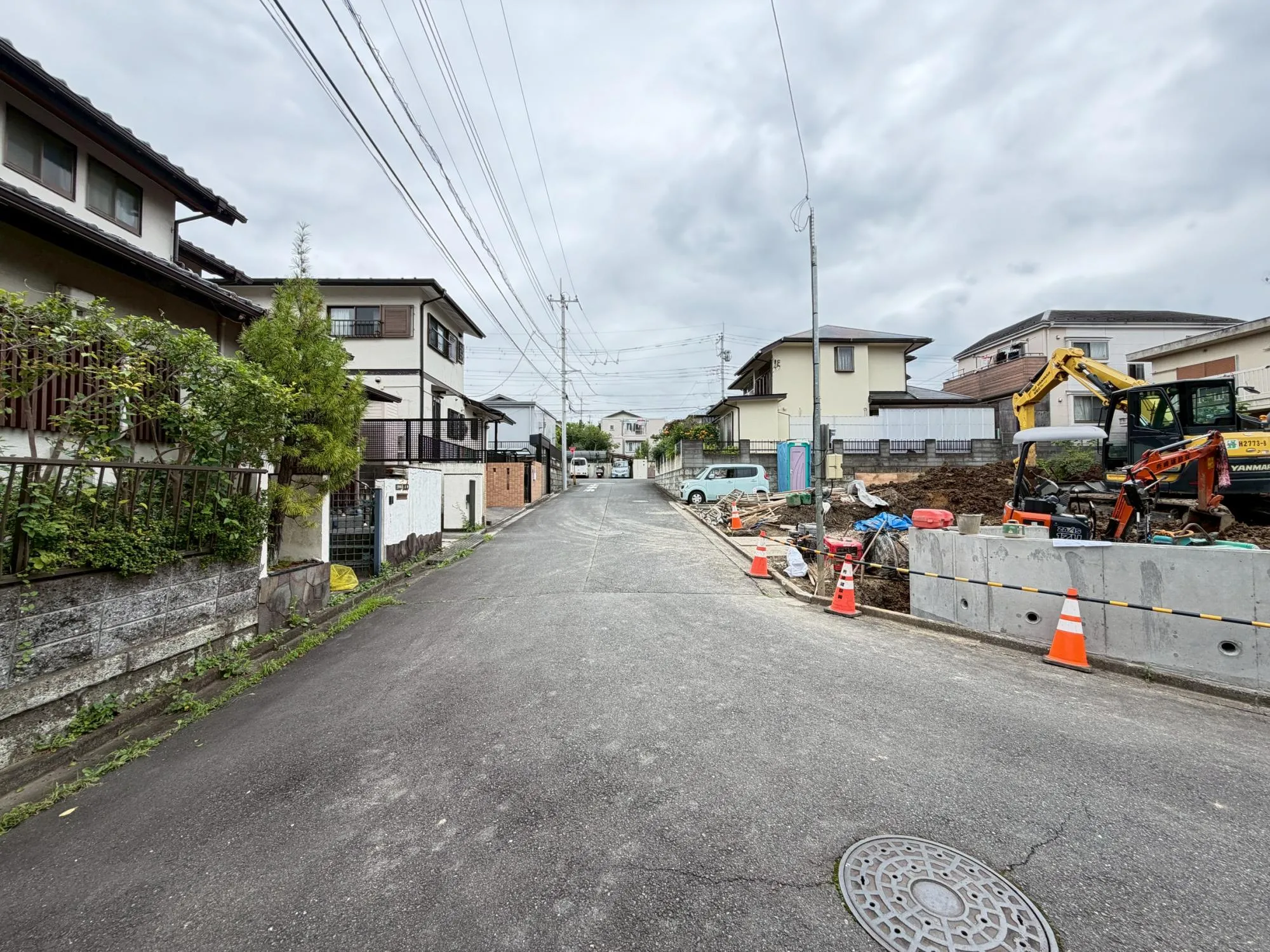 現地写真(7月中旬撮影)