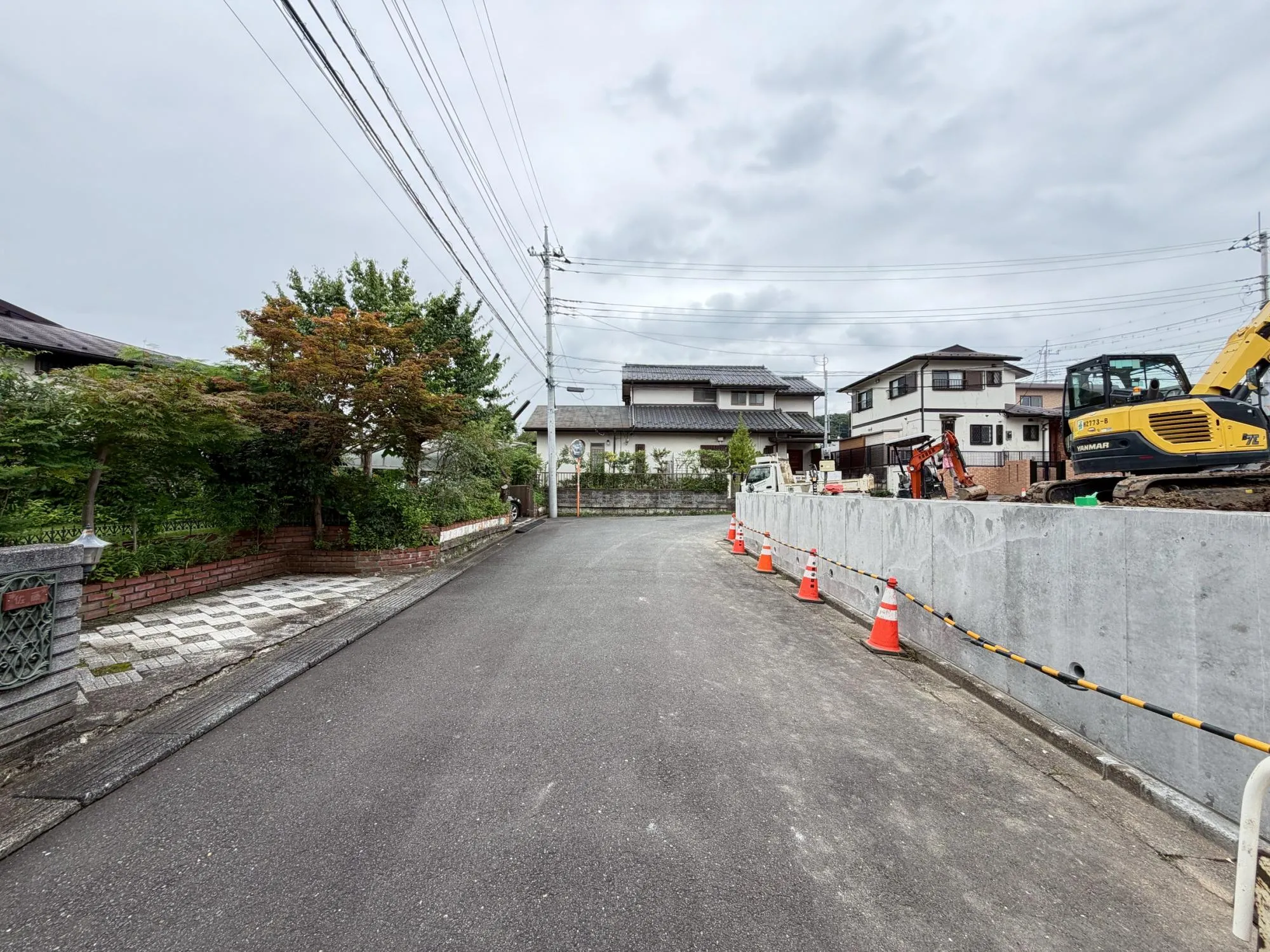 現地写真(7月中旬撮影)