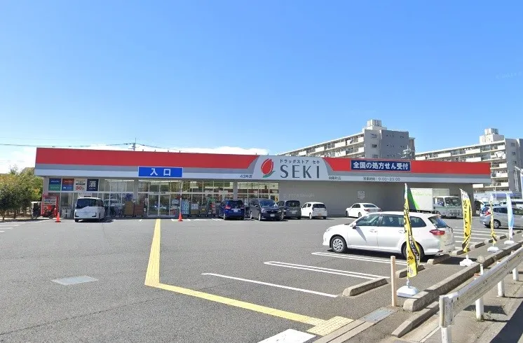 ドラッグストアセキ 向陽町店