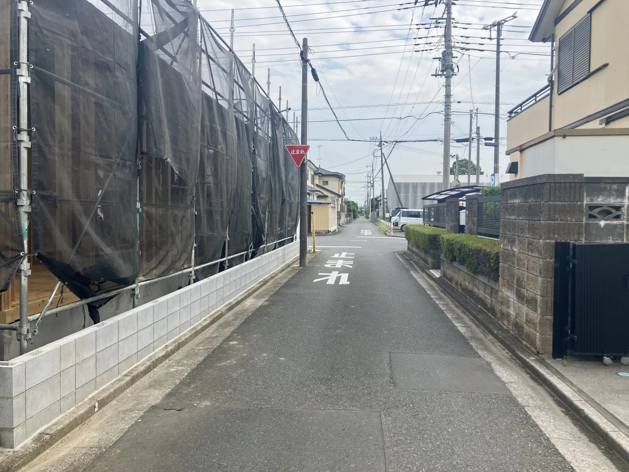 現地写真8月撮影