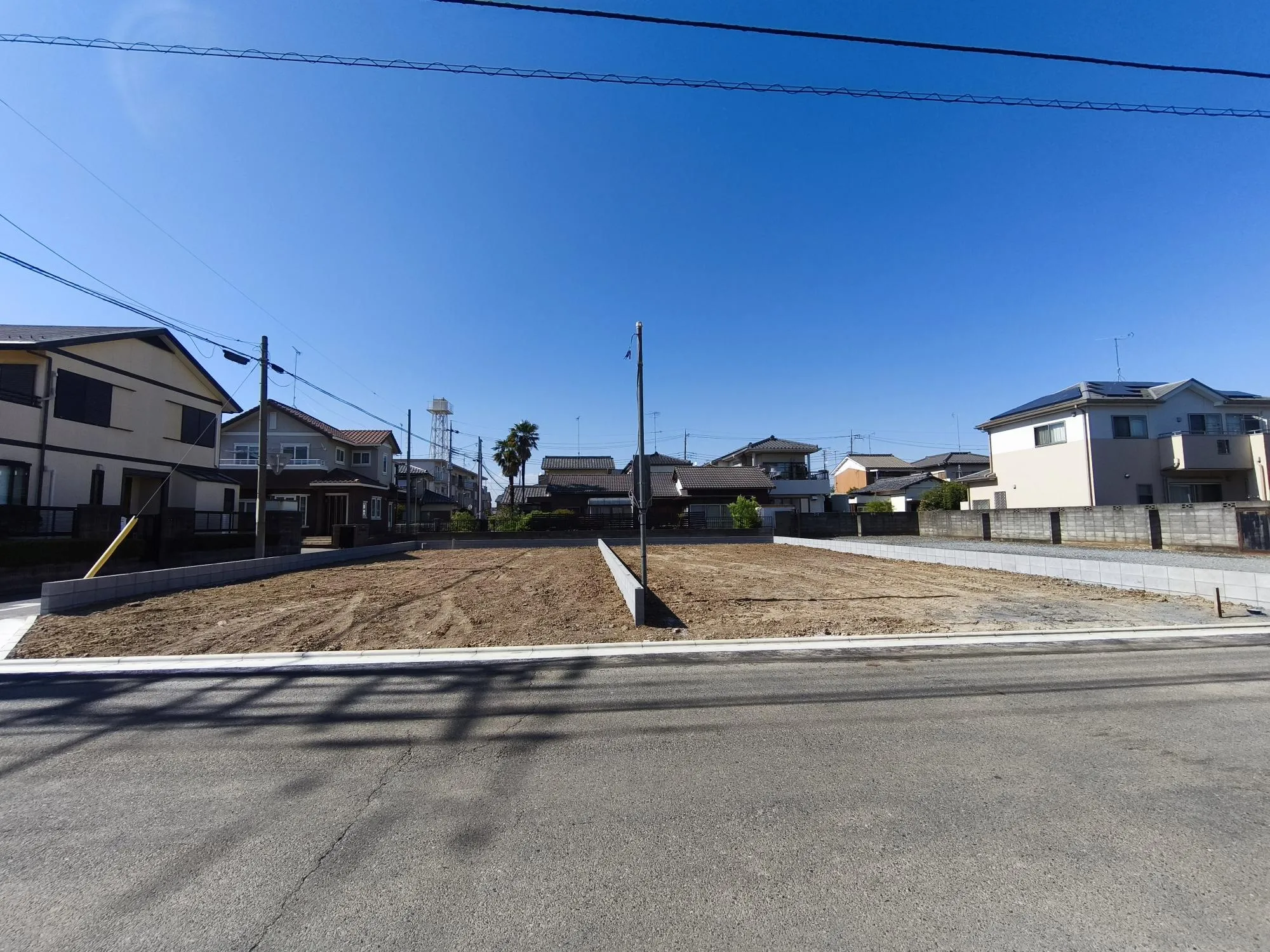 現地写真6月撮影