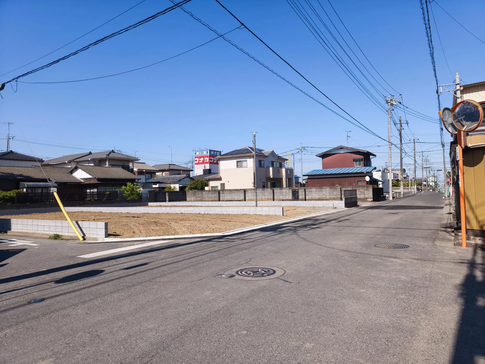現地写真6月撮影