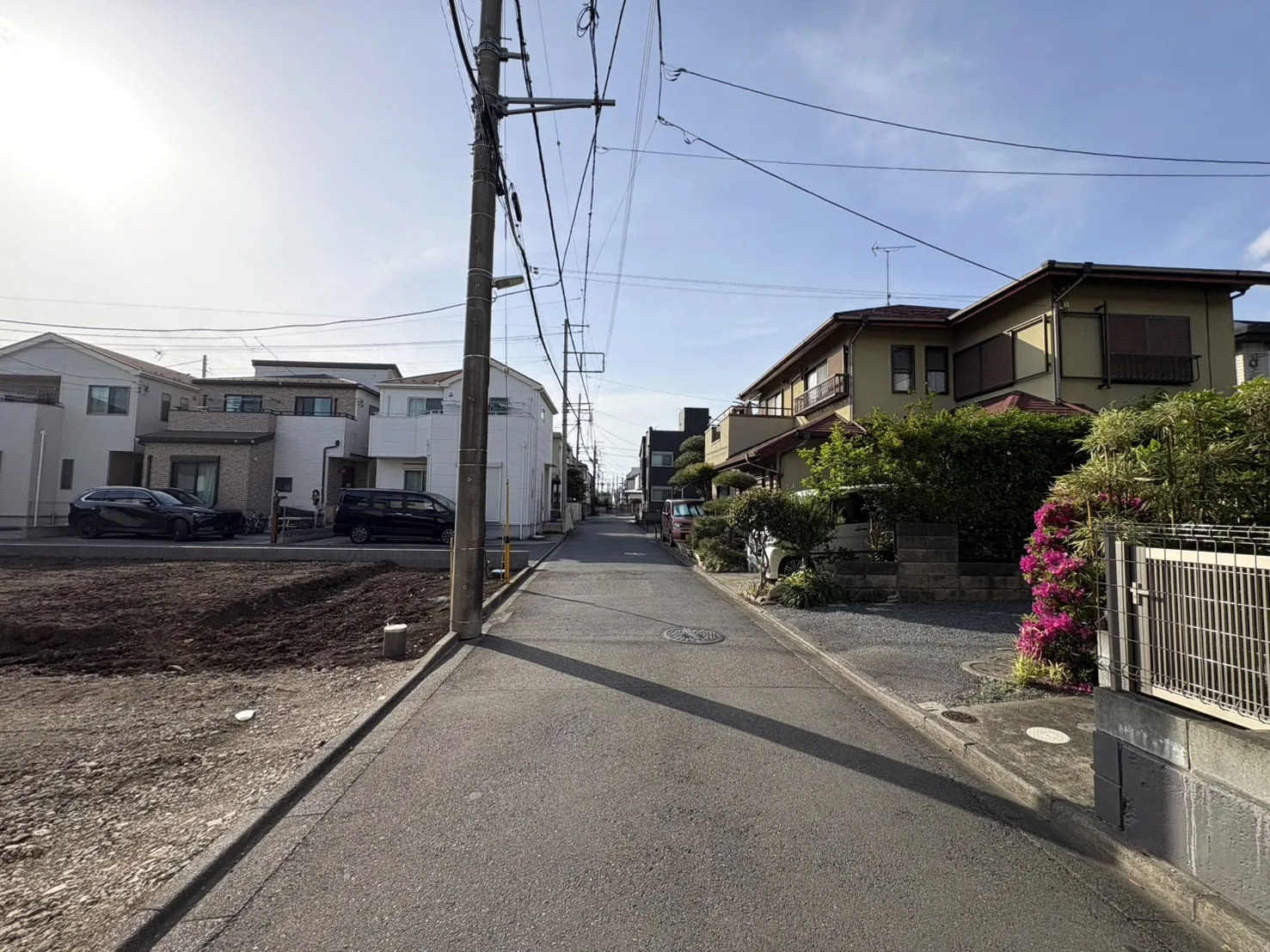 現地写真(2026年4月撮影)