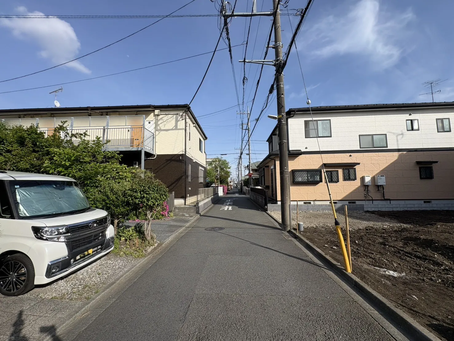 現地写真(2026年4月撮影)