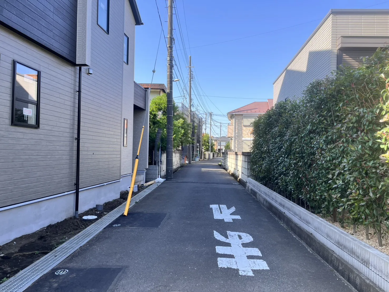 前面道路写真(5月中旬撮影)