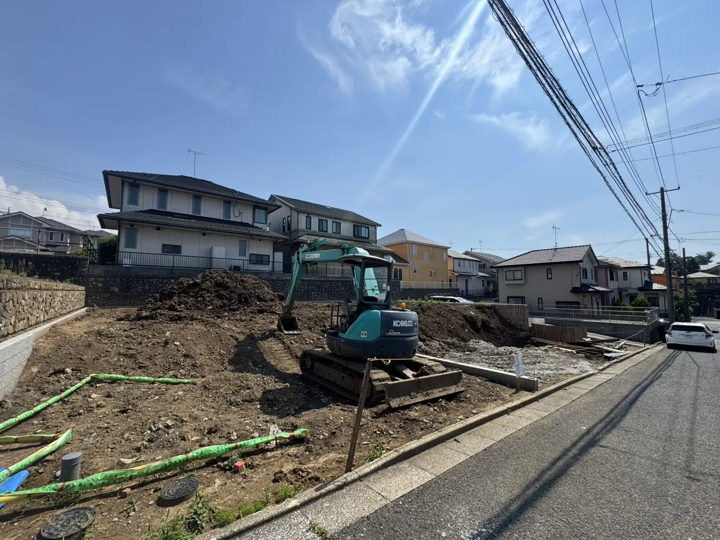6月中旬撮影