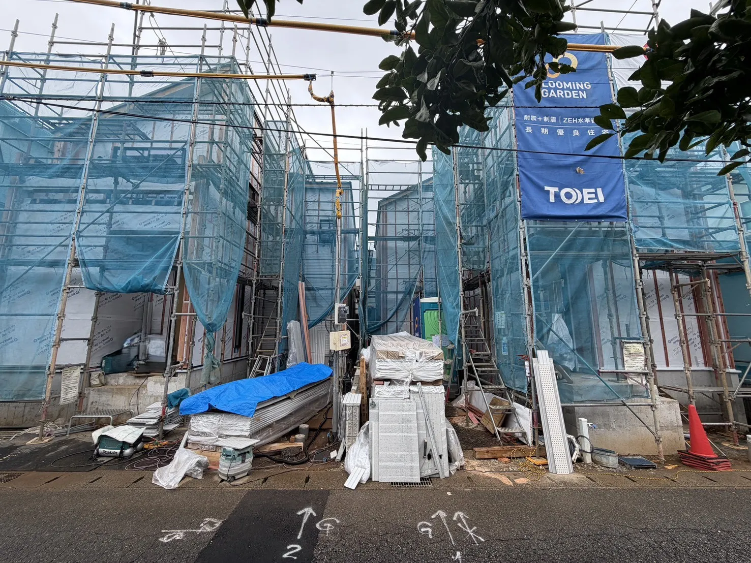 7月中旬撮影