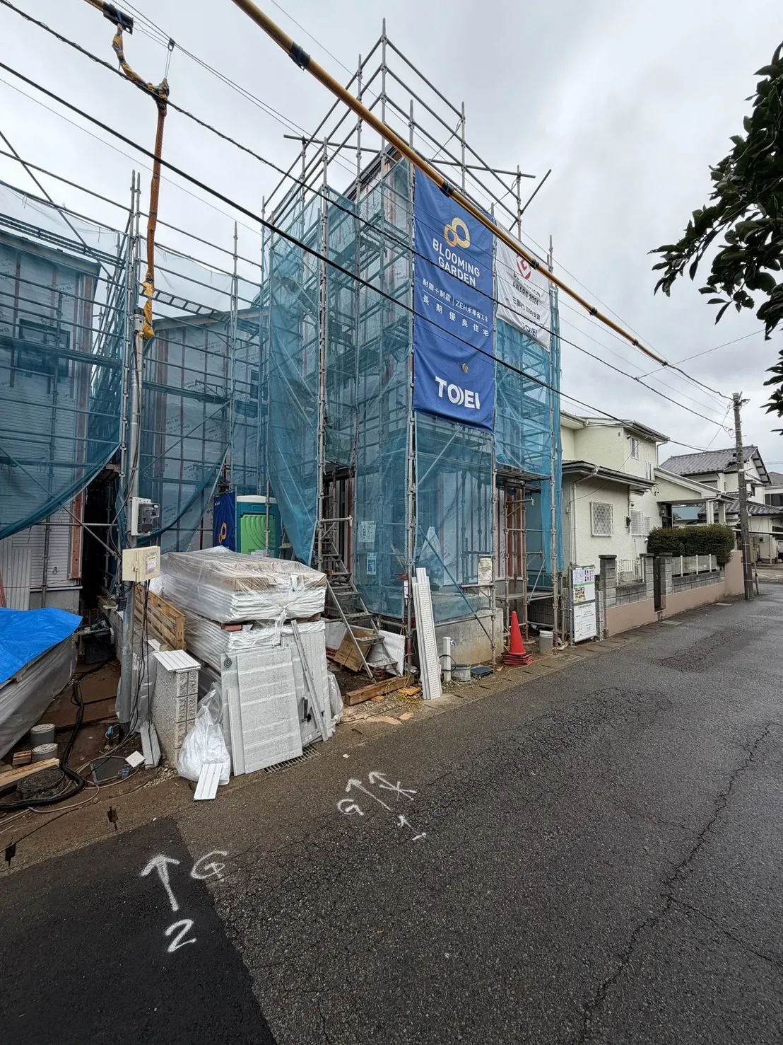 7月中旬撮影