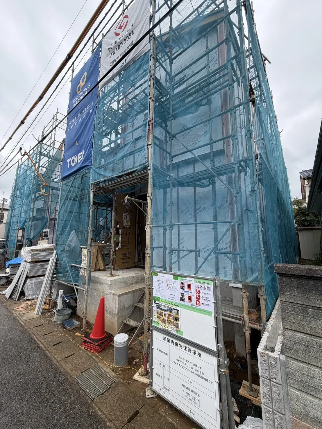 7月中旬撮影