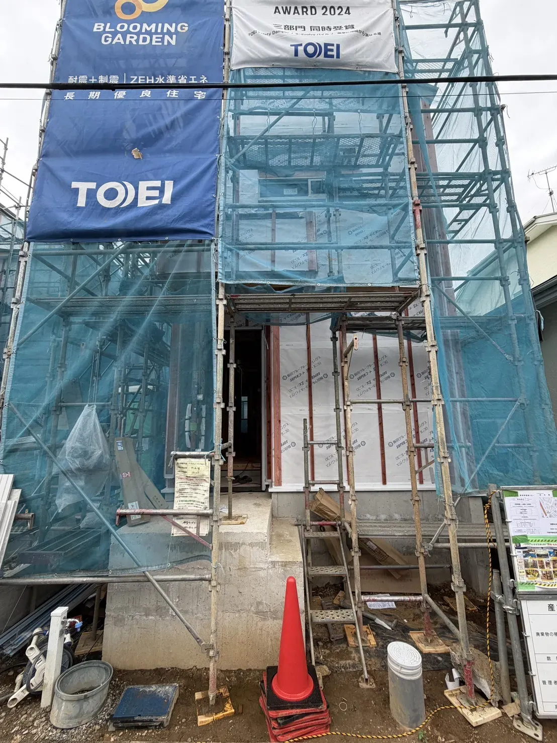 7月中旬撮影