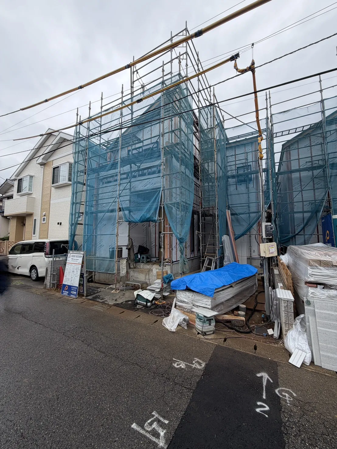 7月中旬撮影