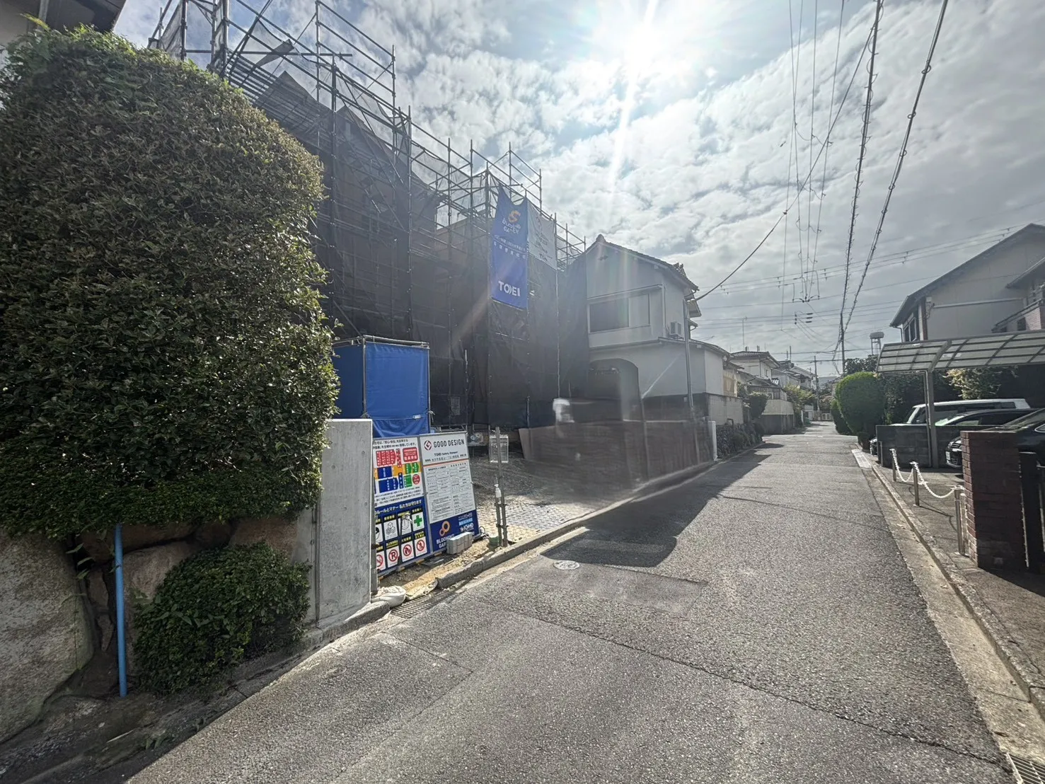 2026年9月撮影