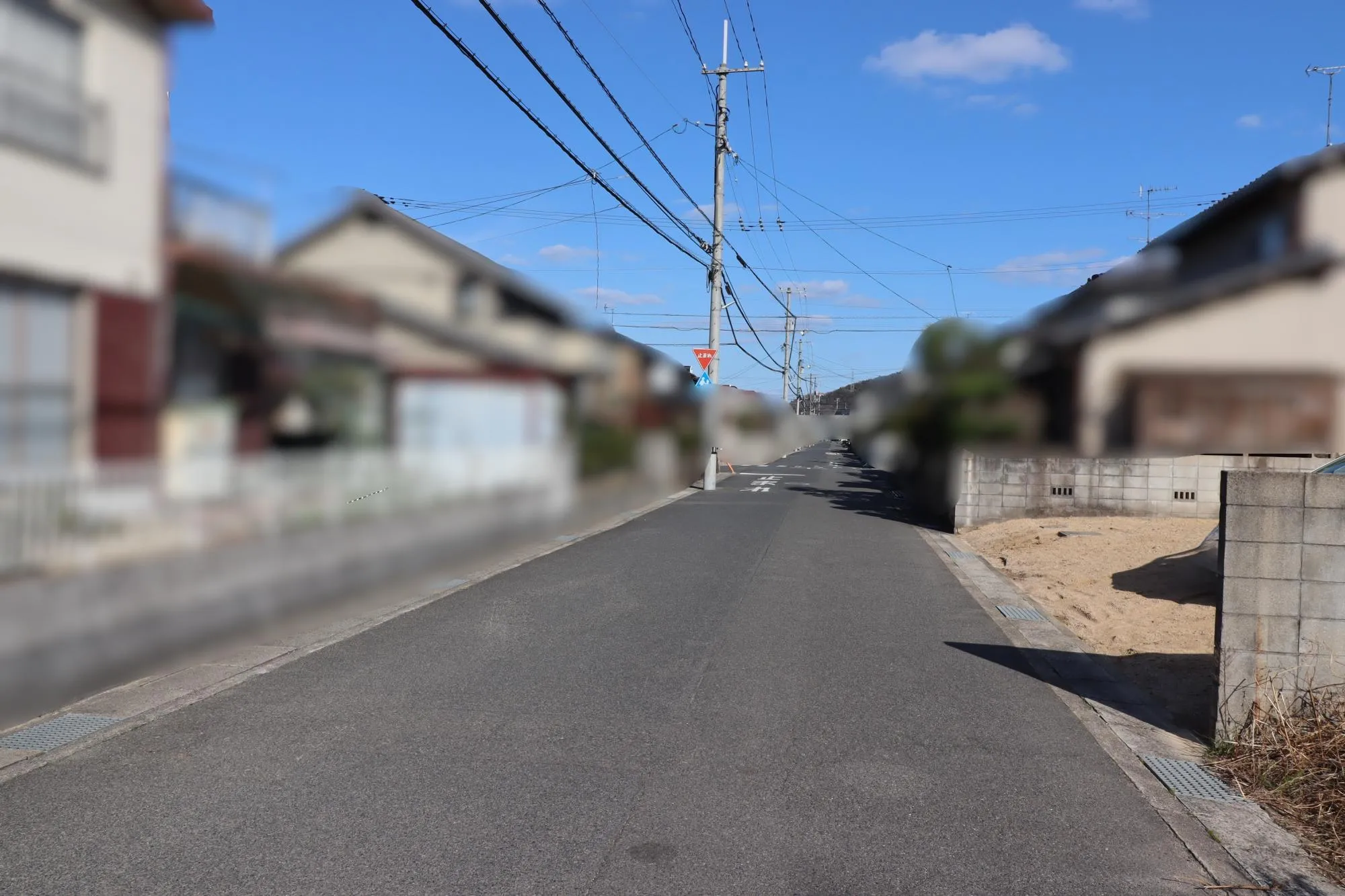 【現地写真】