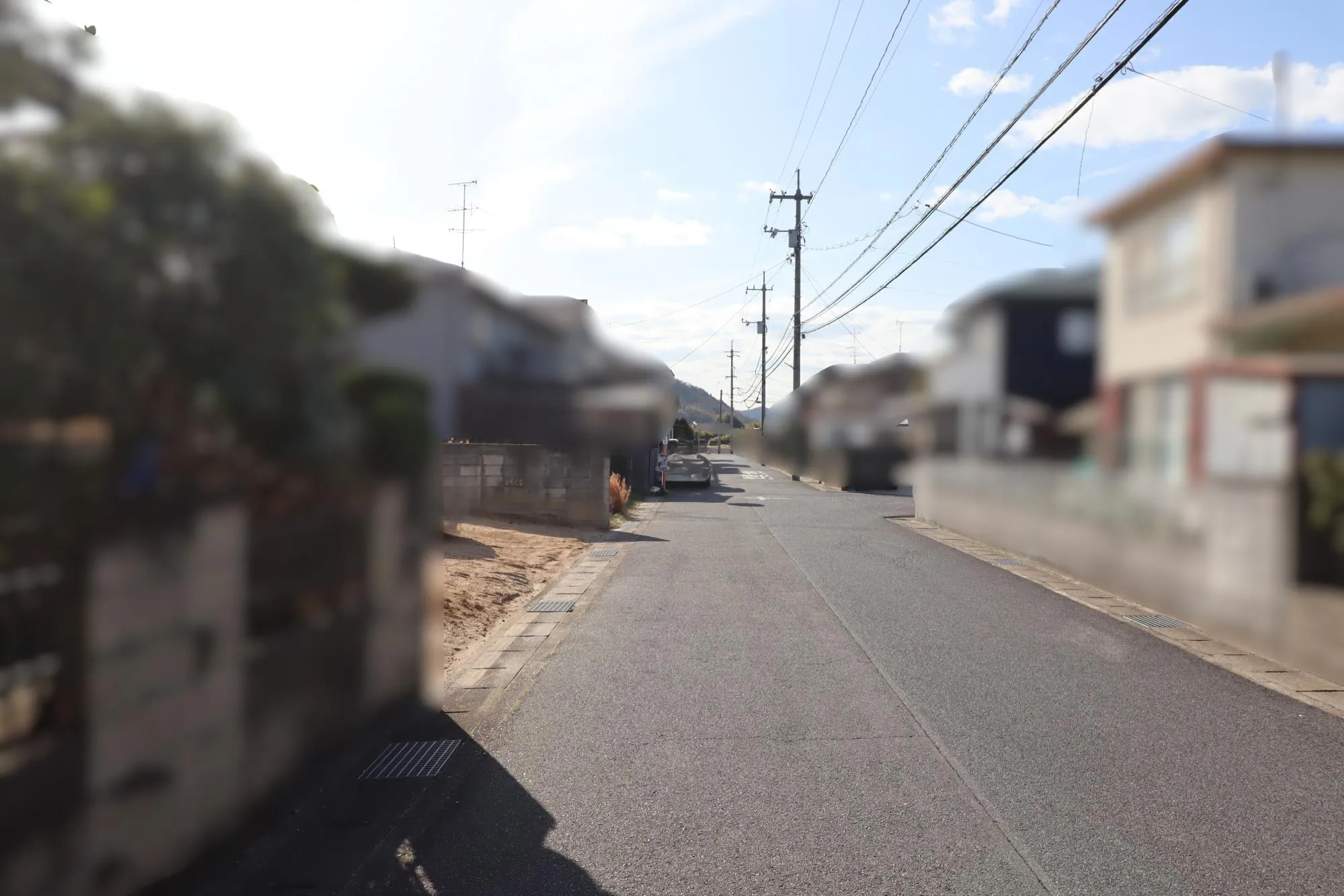 【現地写真】