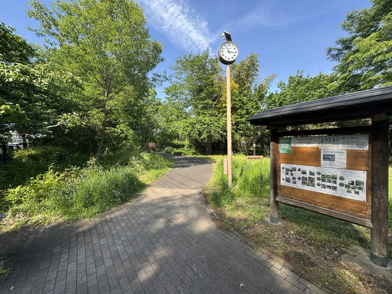 南沢水辺公園