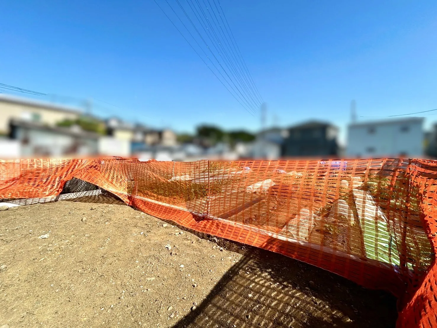 現地写真
