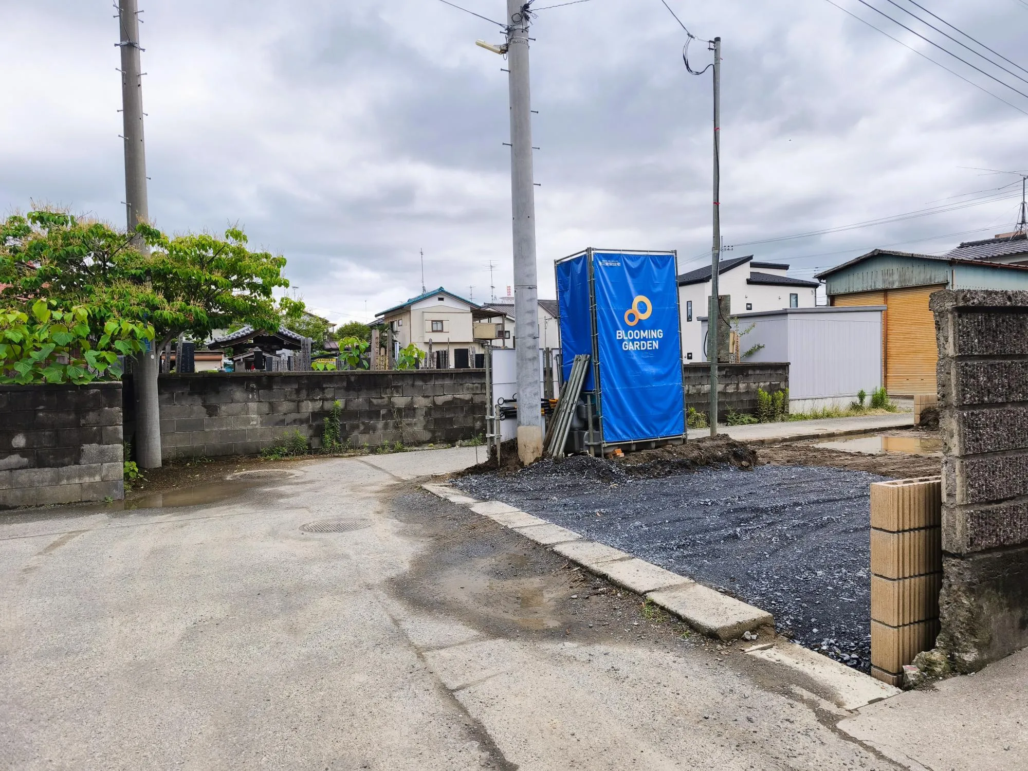 現地写真 6月撮影