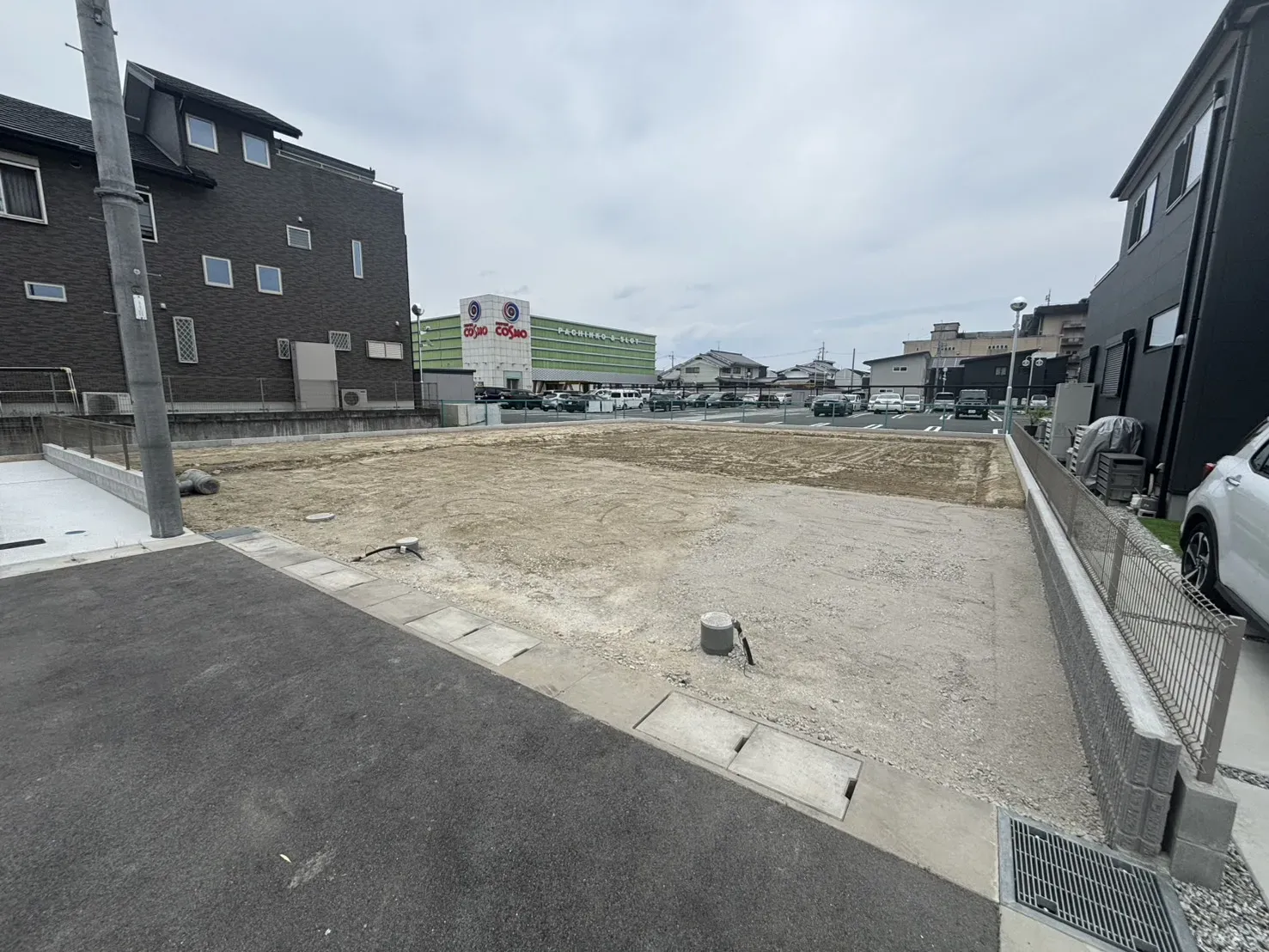 2026年6月撮影