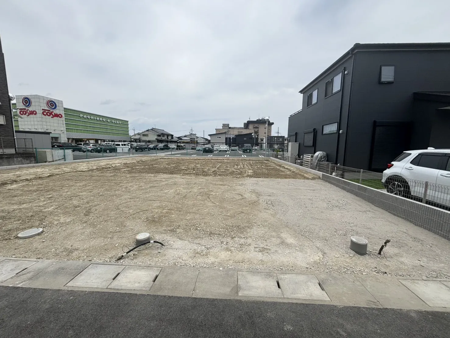 2026年6月撮影