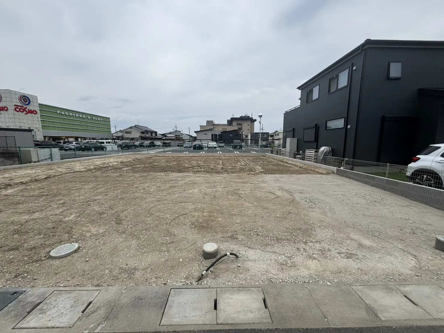 2026年6月撮影