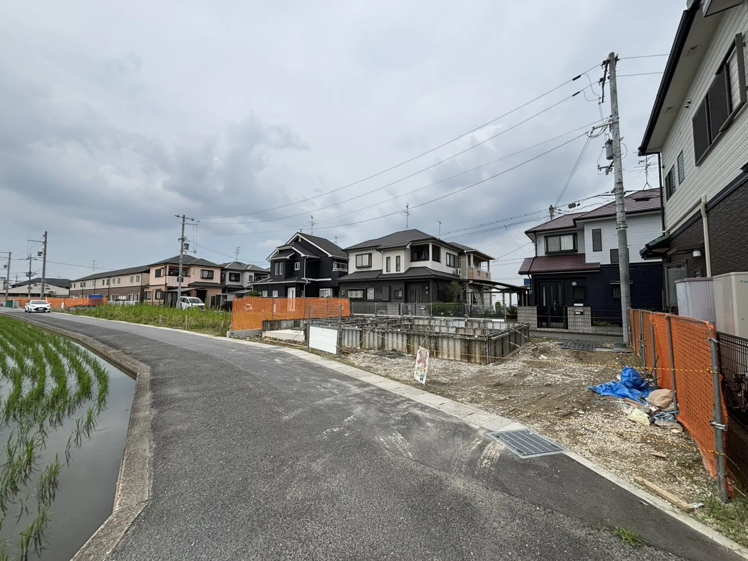 2026年6月下旬現地撮影