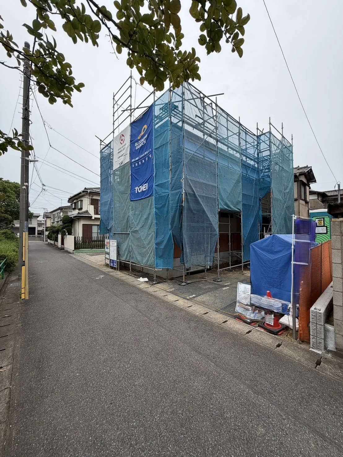 7月中旬撮影