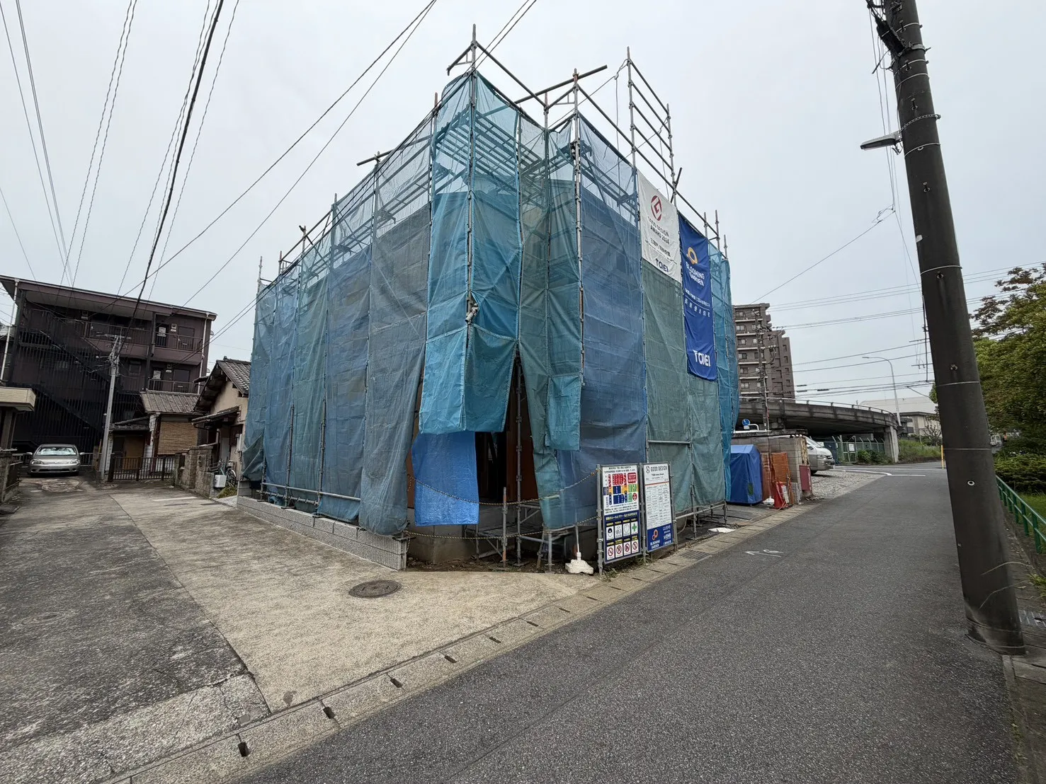 7月中旬撮影